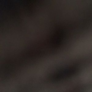 Meet your Posher, Merrill